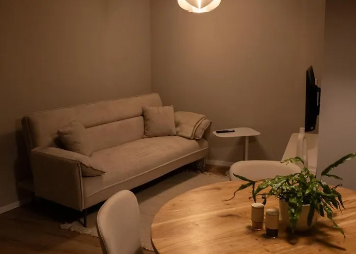 Gemuetliche In Zentraler Lage Apartment